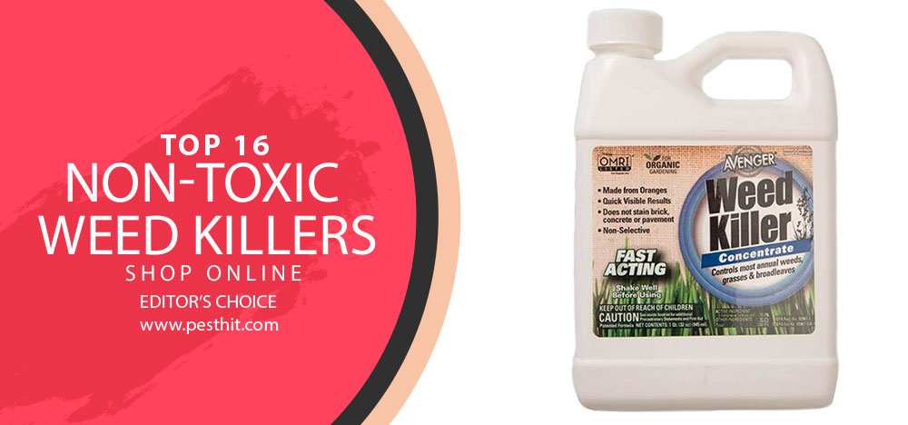 Best Non-Toxic Weed Killers 