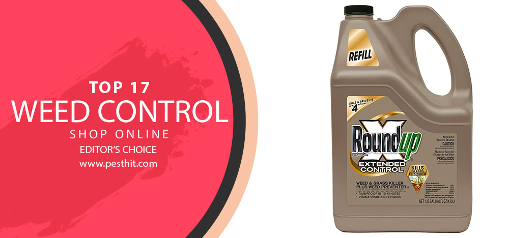 Best Weed Control
