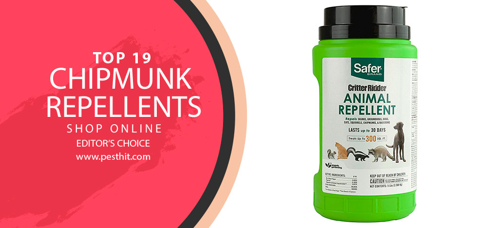 Best Chipmunk Repellents
