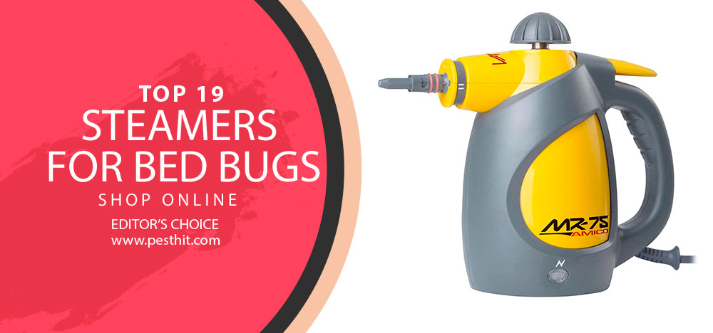 Best Steamers For Bed Bugs